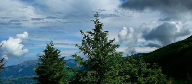 Razlika između placeva na Kopu i Zlatiboru, u odnosu na Staru planinu